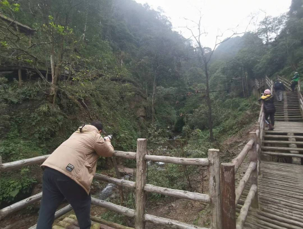 峨眉山猴子被拘留？假的！峨眉山猴子是國(guó)家二級(jí)保護(hù)動(dòng)物