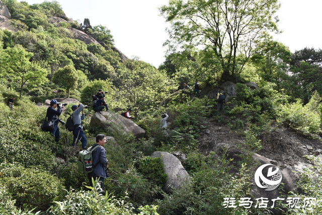 “走進(jìn)蓮塘古村落 與歷史悠然邂逅” ——駐馬店市青年攝影家協(xié)會(huì)開(kāi)展攝影采風(fēng)活動(dòng)