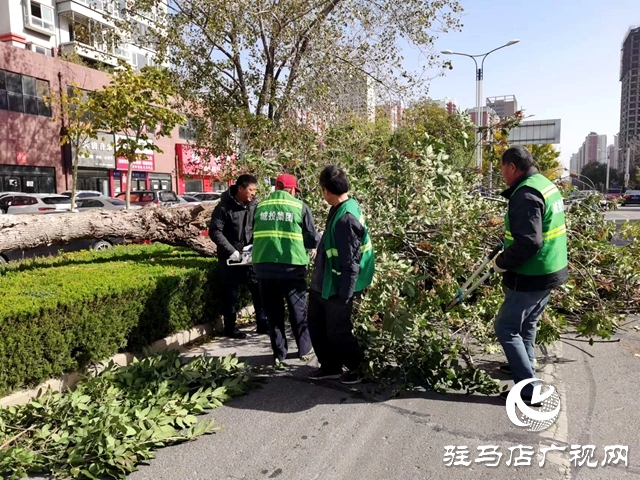 市智慧城市服務(wù)中心消除安全隱患 保障城市安全運(yùn)行