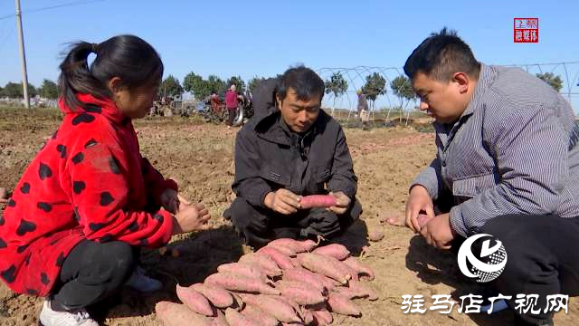 上蔡縣小岳寺鄉(xiāng)：甜蜜事業(yè)無限好