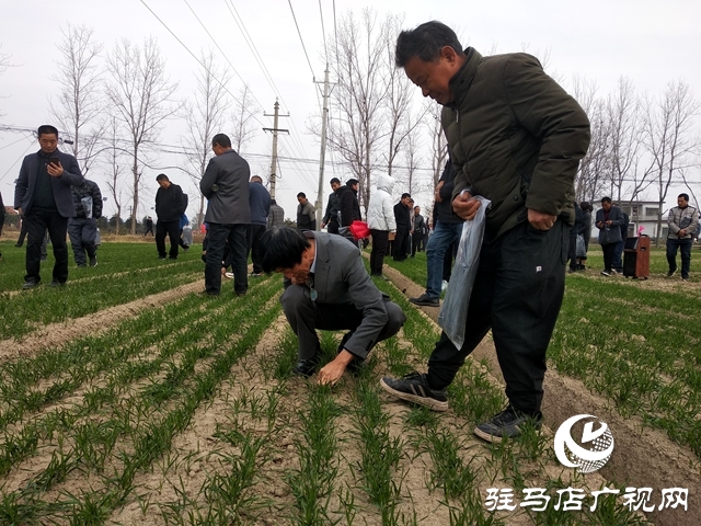 正陽縣持續(xù)開展高素質(zhì)農(nóng)民培育實(shí)踐教學(xué)活動(dòng)