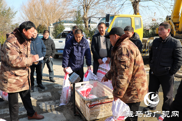 新春走基層||泌陽生態(tài)好魚滿倉 好運“鰱鰱”冬捕忙