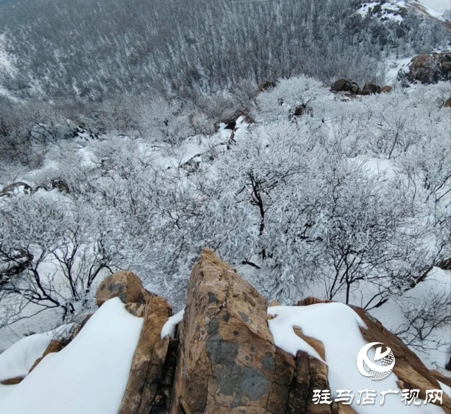 美呆了！羅漢山開啟雪凇、霧凇雙景齊現(xiàn)模式