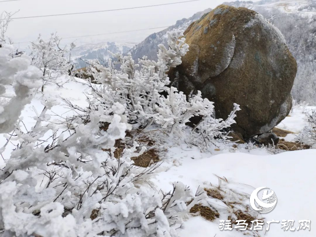 美呆了！羅漢山開啟雪凇、霧凇雙景齊現(xiàn)模式