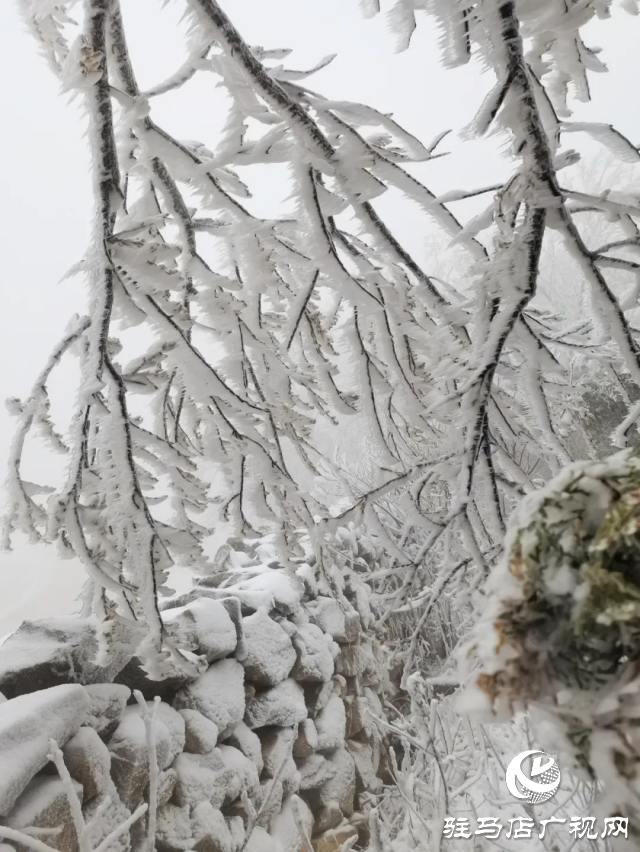 美呆了！羅漢山開啟雪凇、霧凇雙景齊現(xiàn)模式