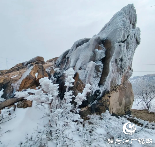 美呆了！羅漢山開啟雪凇、霧凇雙景齊現(xiàn)模式