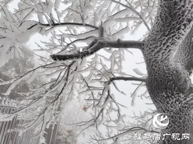 美呆了！羅漢山開啟雪凇、霧凇雙景齊現(xiàn)模式