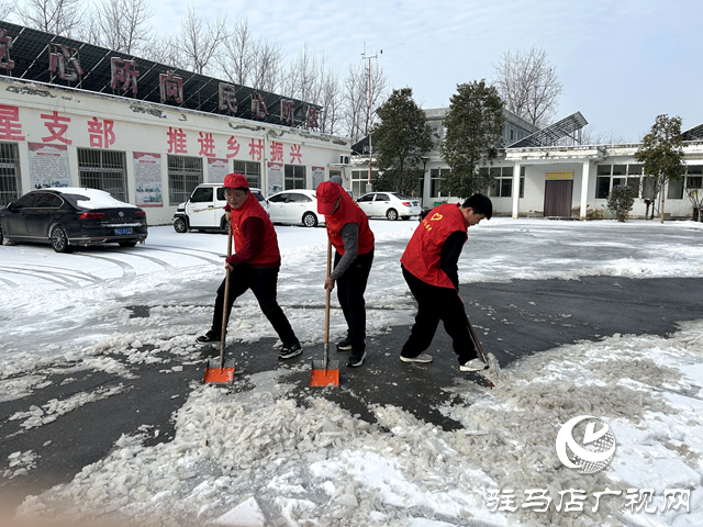 新蔡縣頓崗鄉(xiāng)團(tuán)委開展學(xué)雷鋒做好事掃雪除冰志愿服務(wù)活動