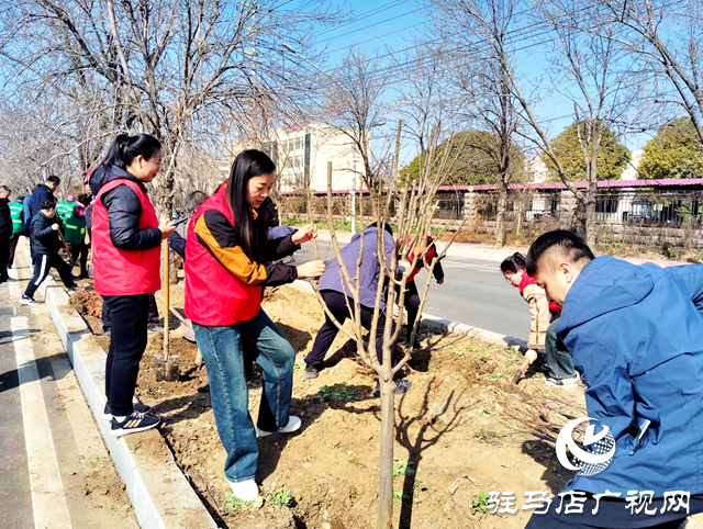 西平縣城管局園林綠化中心：春光無(wú)限好植樹正當(dāng)時(shí)