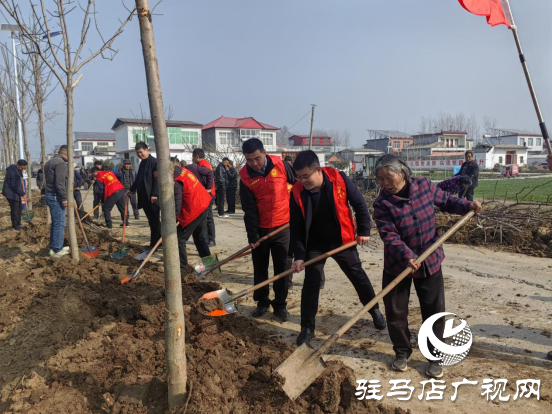 平輿縣李屯鎮(zhèn)組織開展2024年全民義務(wù)植樹志愿服務(wù)活動(dòng)