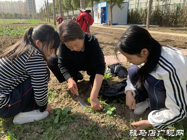 駐馬店市實(shí)驗(yàn)中學(xué)師生：走進(jìn)自然 感受勞動(dòng)之美