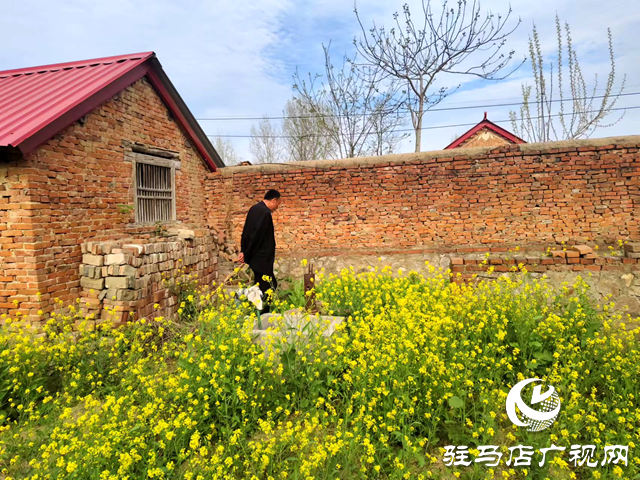 遂平縣沈寨鎮(zhèn)深入開展禁種鏟毒工作共建平安凈土