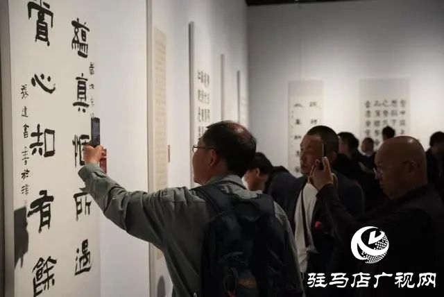 泌陽縣書法家協(xié)會會員齊聚，共賞全國第十三屆書法篆刻展