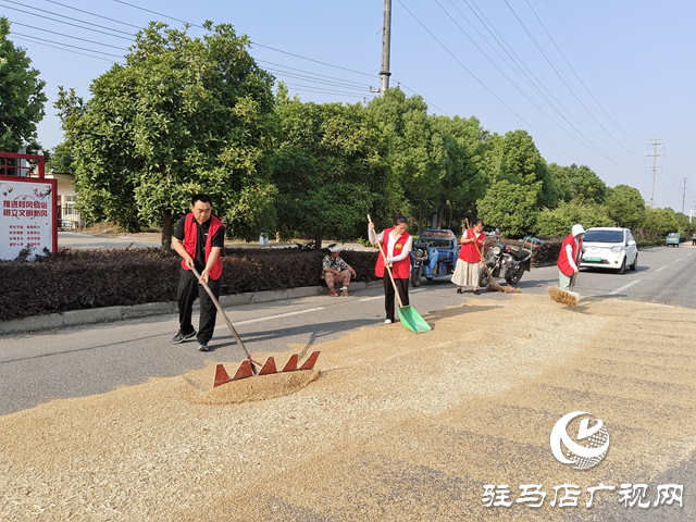 駐馬店經濟開發(fā)區(qū)賈莊居委會成立“三夏”生產服務應急小分隊幫助群眾收麥