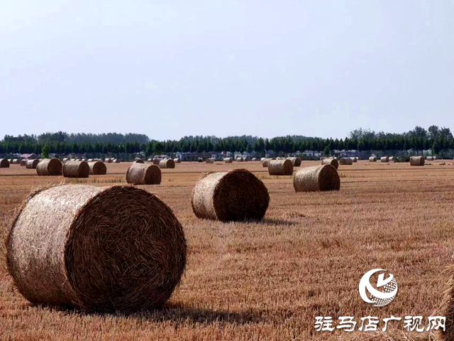 確山縣雙河鎮(zhèn)： “生態(tài)包袱”變?yōu)?ldquo;綠色財富”