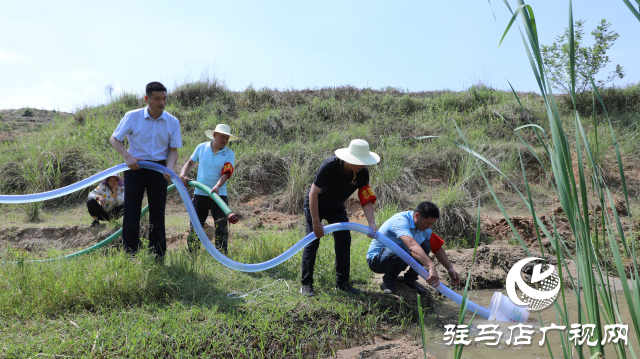 泌陽融媒：讓黨旗飄揚(yáng)在抗旱一線