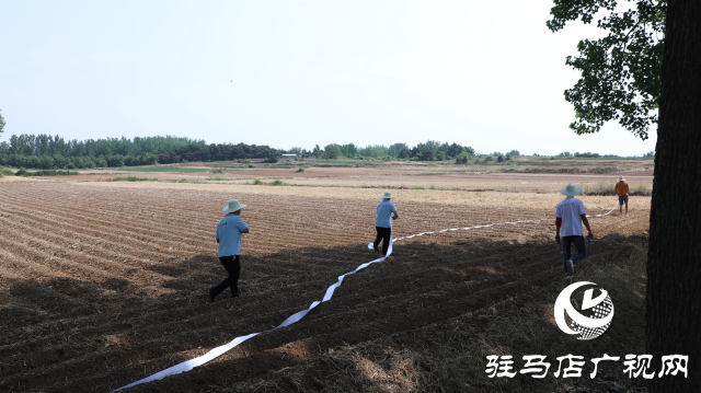 泌陽融媒：讓黨旗飄揚(yáng)在抗旱一線