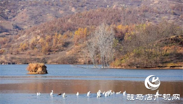 泌陽：帶你領略不一樣的風景