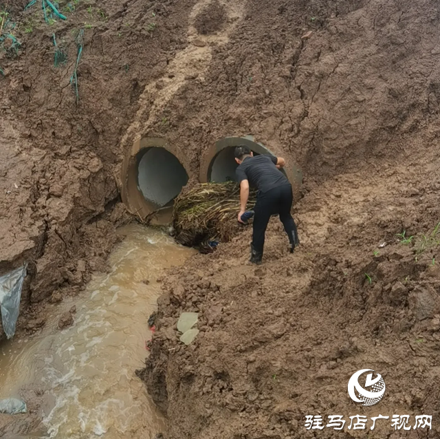 新蔡縣練村鎮(zhèn)：“防汛”+“備汛” 全力筑牢汛期“安全墻”