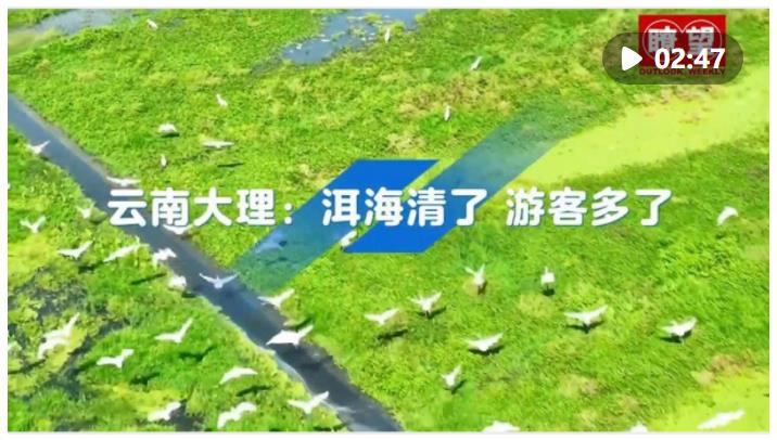 瞭望·治國(guó)理政紀(jì)事｜爭(zhēng)當(dāng)生態(tài)文明建設(shè)排頭兵