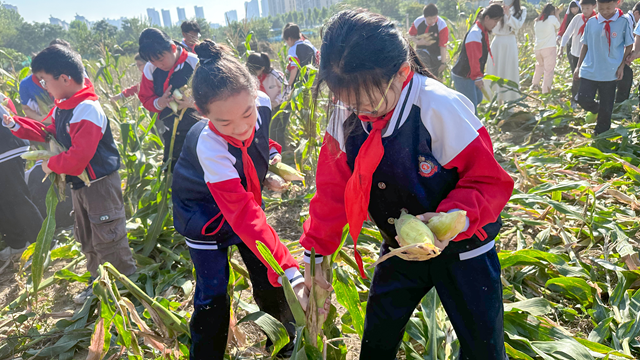體驗(yàn)豐收快樂 收獲成長果實(shí)