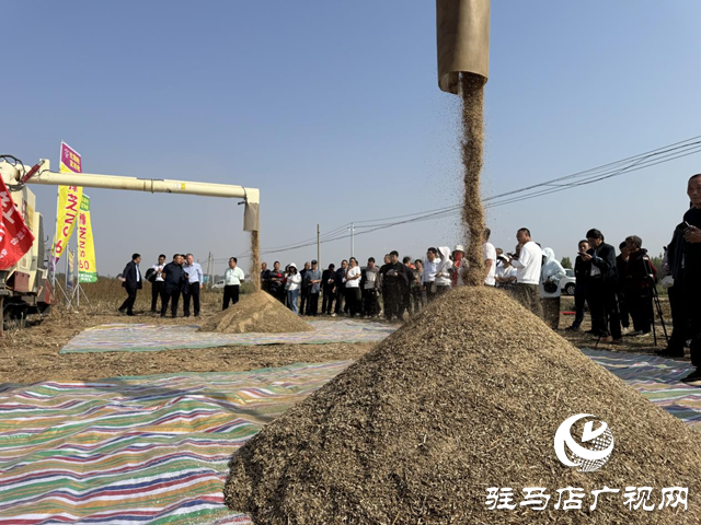 駐馬店：良種良法有機融合 芝麻機收喜獲成功