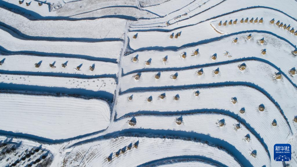 寒潮來(lái)襲 多地出現(xiàn)降雪