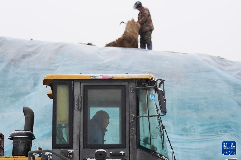 啟用存冰：第二十六屆哈爾濱冰雪大世界冰建施工將拉開帷幕