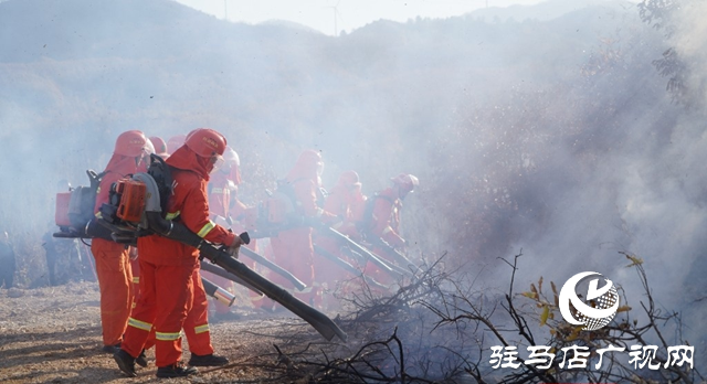 駐馬店市（泌陽）森林火災應急救援綜合實戰(zhàn)演練舉行