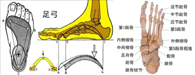 雪地靴又上熱搜！經(jīng)常穿真的很“傷腳”……醫(yī)生緊急提醒