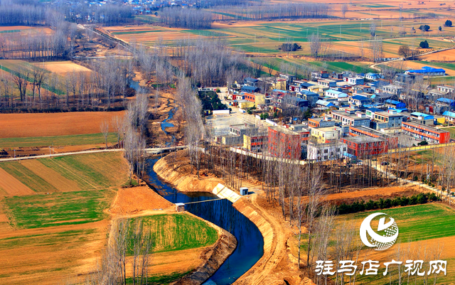 泌陽縣黃山口鄉(xiāng)：走穩(wěn)小麥“田管棋”，繪就夏收好“豐”景