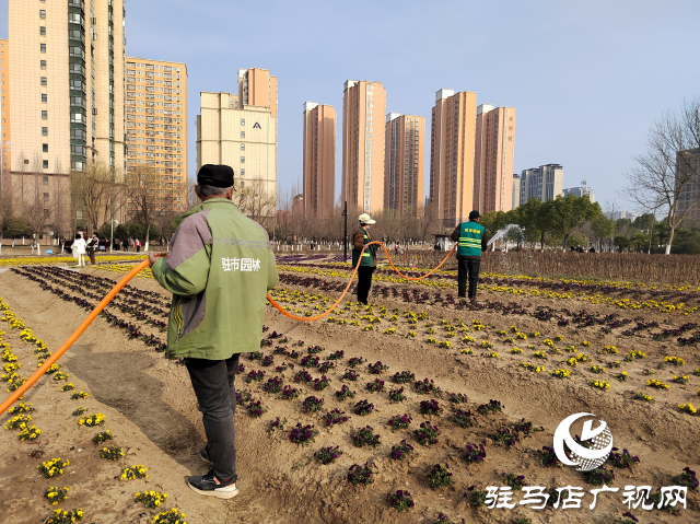 駐馬店開源公園：不負(fù)春季好時(shí)光 綠化養(yǎng)護(hù)正當(dāng)時(shí)