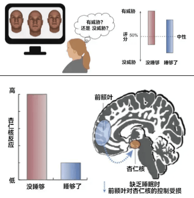 你以為的正?，F(xiàn)象，其實是睡眠不足！這份“熬夜急救包”請收好