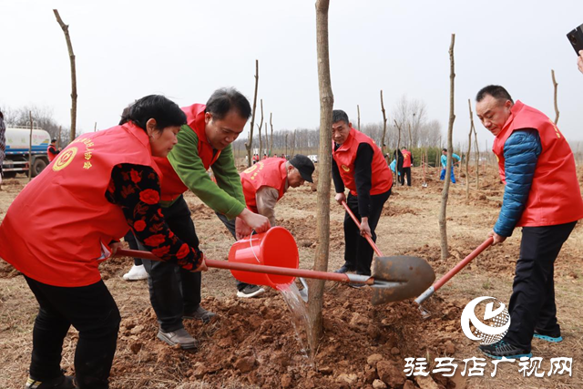 驛城區(qū)身邊好人協(xié)會組織開展義務植樹活動