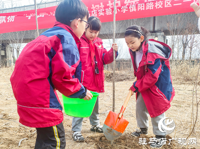 駐馬店實(shí)驗小學(xué)開展學(xué)雷鋒志愿植樹活動