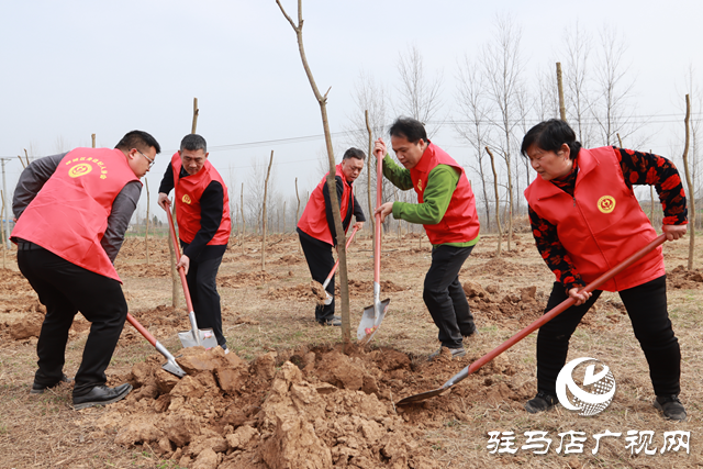 驛城區(qū)身邊好人協(xié)會組織開展義務植樹活動