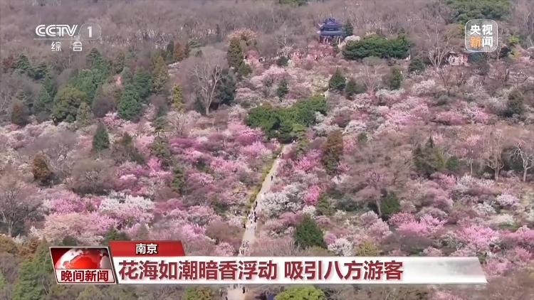 春天就是要看花花花花花，熱門春游目的地藏在這里