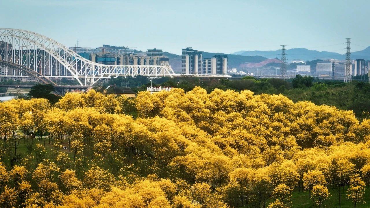 春意漸濃，這條高鐵沿線的寶藏城市“藏不住”了！