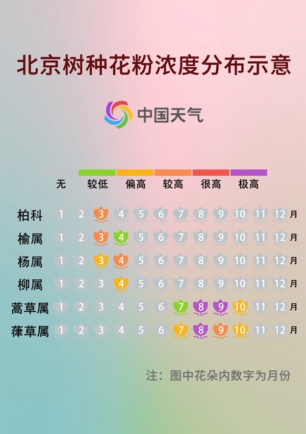 前方噴嚏警告！又到花粉過敏季，四招教你有效預(yù)防