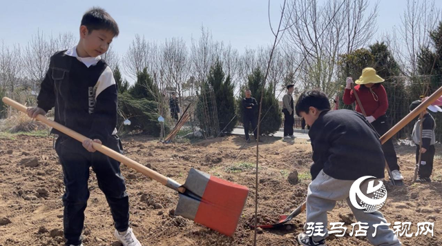 駐馬店廣播電視臺廣播事業(yè)管理中心：開展第七屆公益植樹活動 助力鄉(xiāng)村綠色發(fā)展