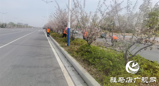 示范區(qū)城管局：全面開展春季園林綠化養(yǎng)護工作