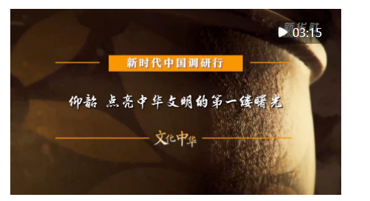 新時代中國調(diào)研行之文化中華·國寶故事｜仰韶 點亮中華文明的第一縷曙光