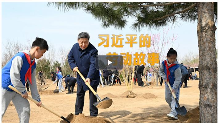 追光的你丨習(xí)近平的勞動故事