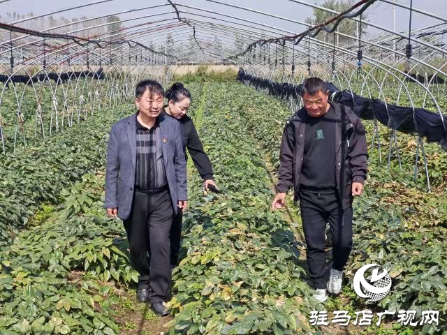 以孝善與活力為筆，繪就鄉(xiāng)村新畫卷 ——專訪平輿縣萬(wàn)金店鄉(xiāng)土店村支部書記李新立