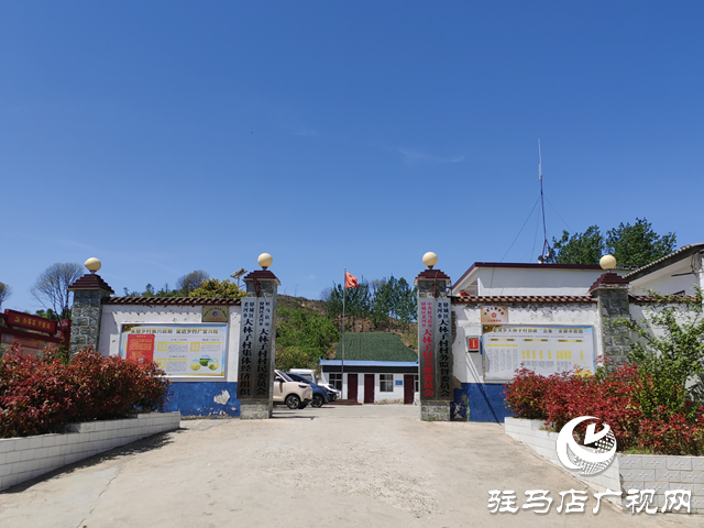 驛城區(qū)老河鄉(xiāng)大林子村：產(chǎn)業(yè)發(fā)展奏響鄉(xiāng)村振興新樂(lè)章