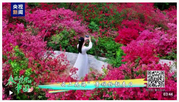 春暖花開的中國(guó)丨來(lái)看中原大地絕美的暮春畫卷