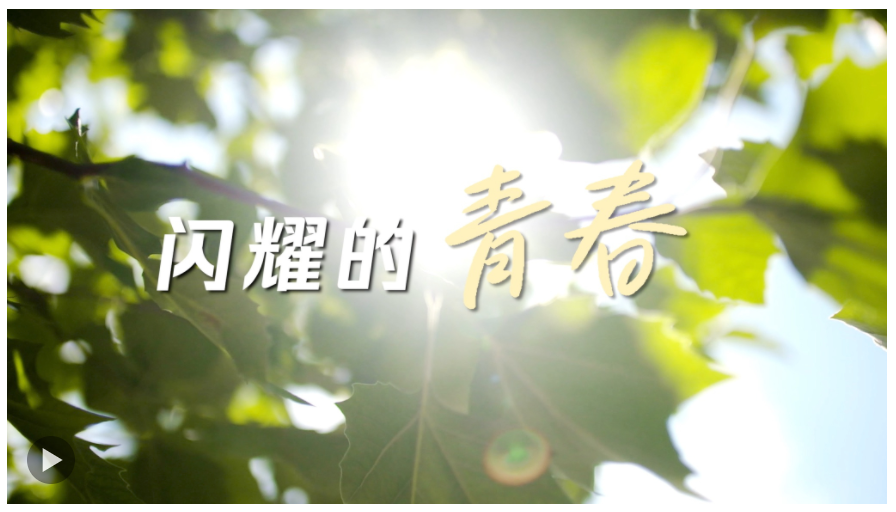 閃耀的青春