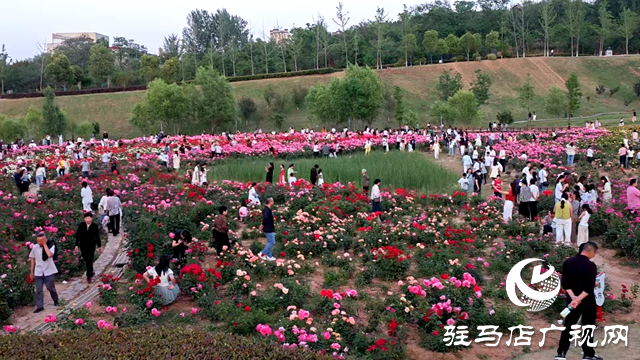 綠意蔥蘢花滿城！確山縣住建局精心打造“城市大花園”