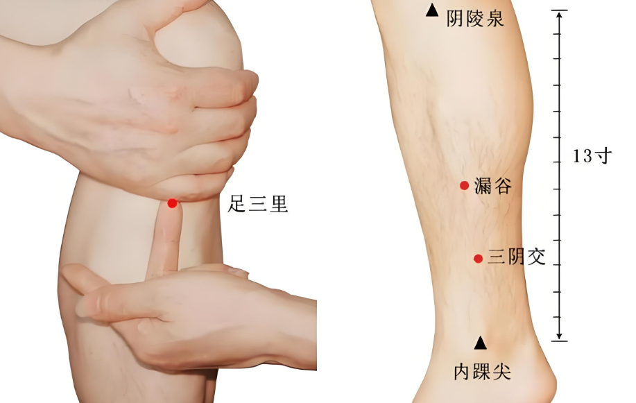 春夏交替易疲勞，4件事養(yǎng)好精力