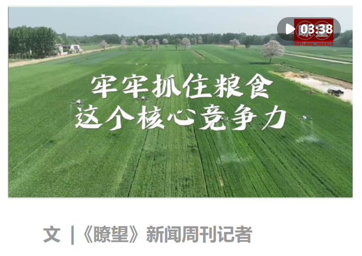 瞭望·治國理政紀事｜牢牢抓住糧食這個核心競爭力